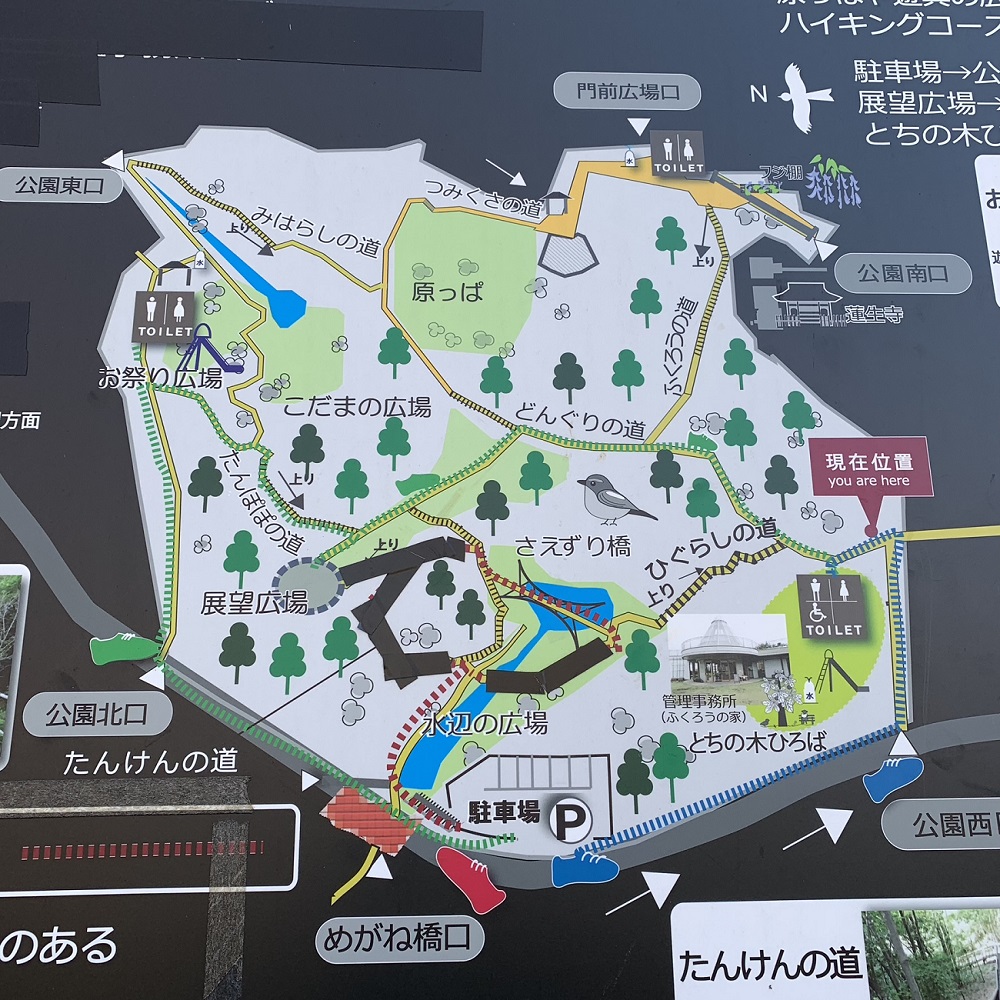 蓮生寺公園散策路