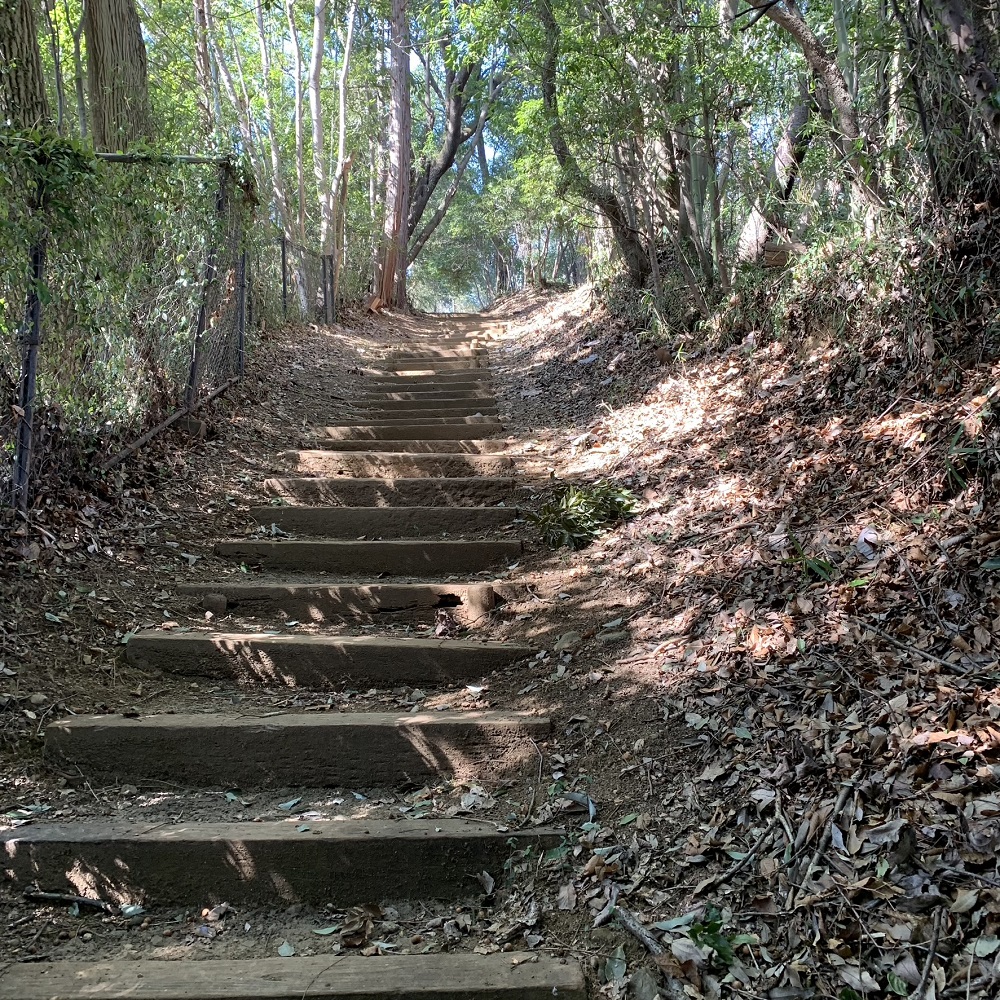 蓮生寺公園散策路