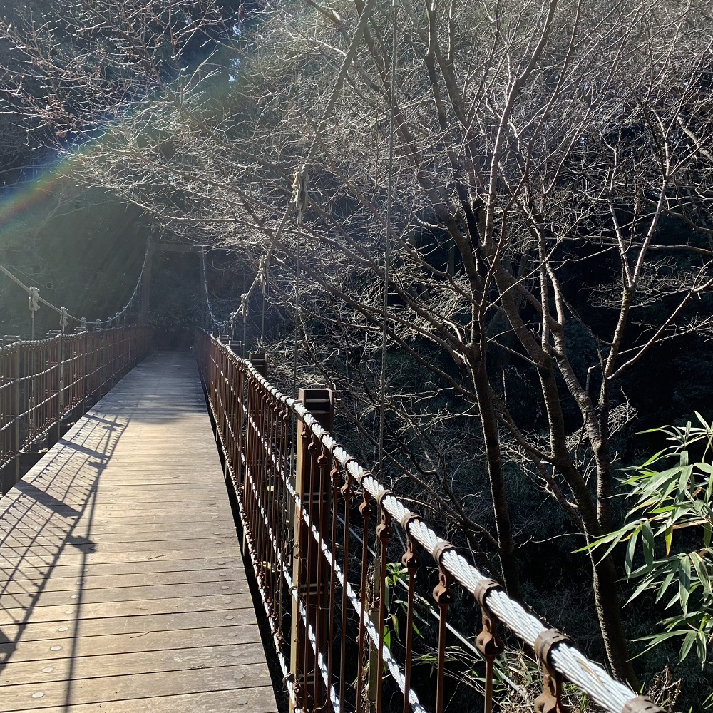 蓮生寺公園散策路
