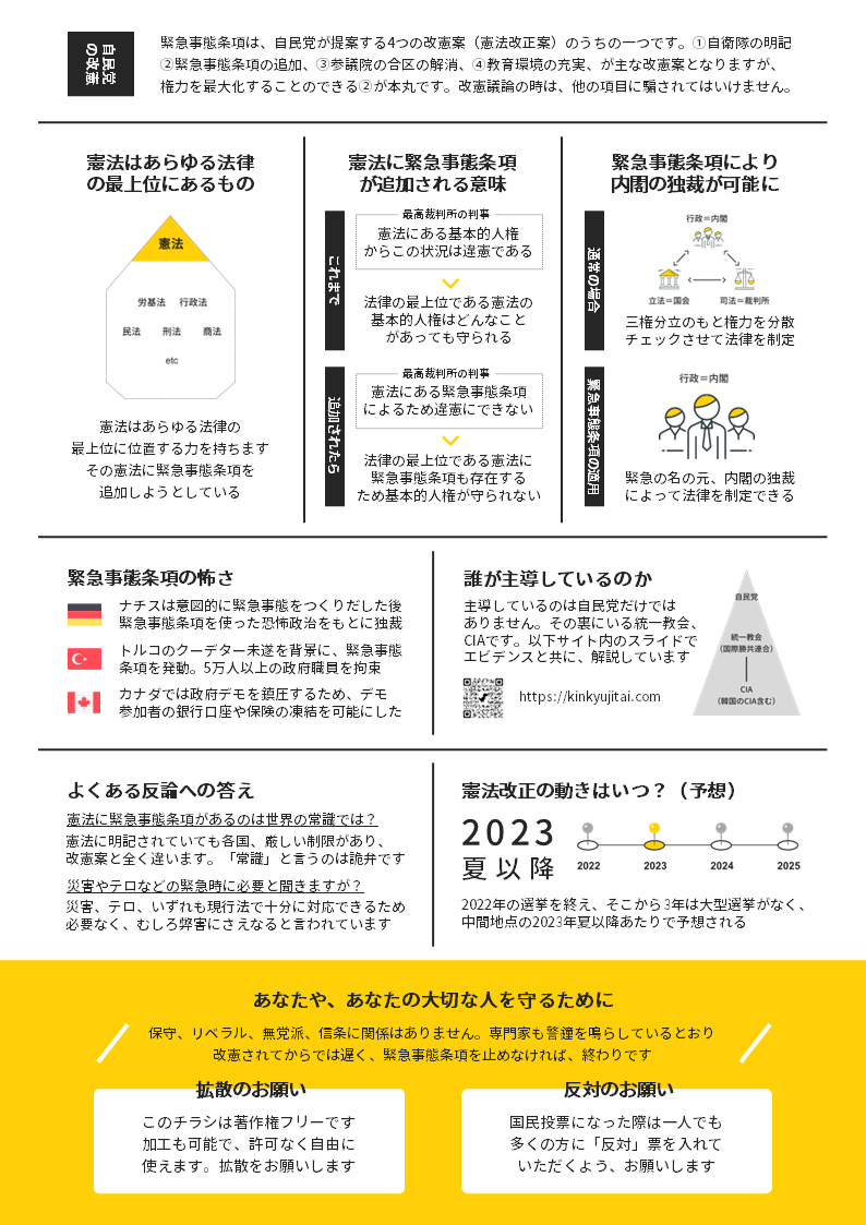 緊急事態条項の危険性チラシ裏面