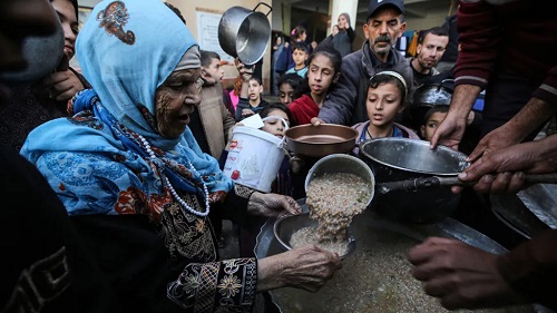 パレスチナ画像